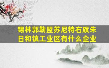 锡林郭勒盟苏尼特右旗朱日和镇工业区有什么企业