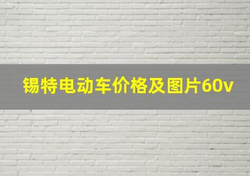 锡特电动车价格及图片60v