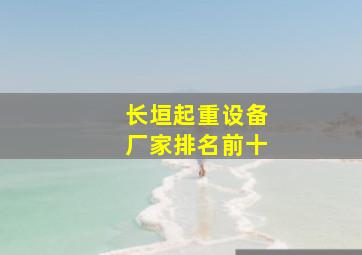 长垣起重设备厂家排名前十