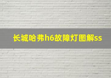 长城哈弗h6故障灯图解ss