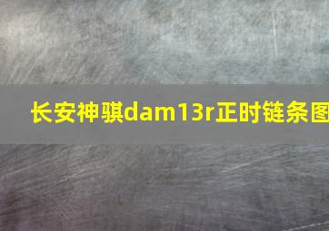 长安神骐dam13r正时链条图