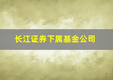 长江证券下属基金公司