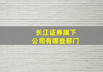 长江证券旗下公司有哪些部门