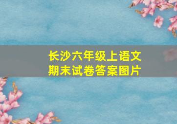 长沙六年级上语文期末试卷答案图片