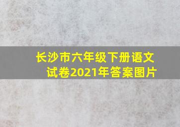 长沙市六年级下册语文试卷2021年答案图片