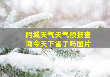 阿城天气天气预报查询今天下雪了吗图片