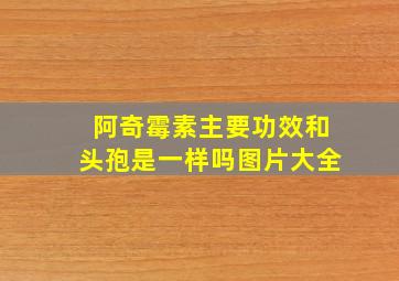 阿奇霉素主要功效和头孢是一样吗图片大全