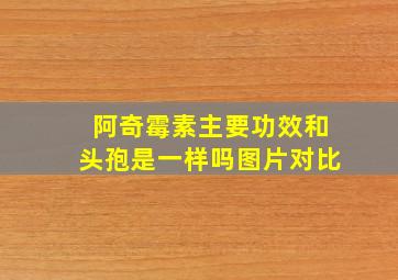 阿奇霉素主要功效和头孢是一样吗图片对比