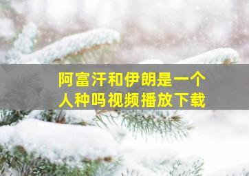 阿富汗和伊朗是一个人种吗视频播放下载