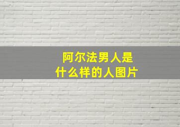 阿尔法男人是什么样的人图片