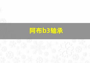 阿布b3轴承