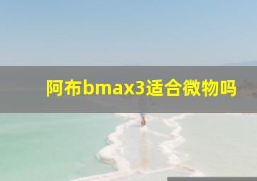 阿布bmax3适合微物吗