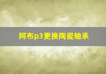 阿布p3更换陶瓷轴承