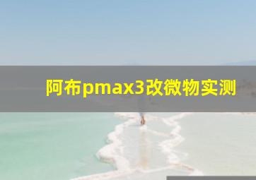 阿布pmax3改微物实测