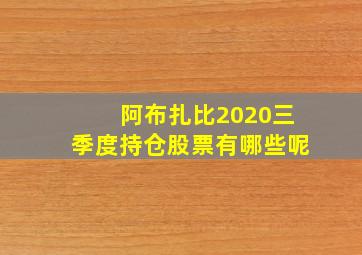 阿布扎比2020三季度持仓股票有哪些呢