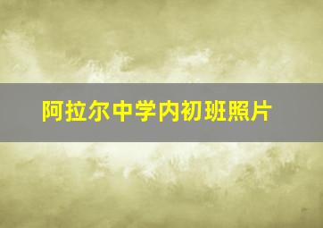 阿拉尔中学内初班照片