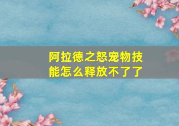 阿拉德之怒宠物技能怎么释放不了了