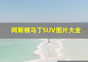 阿斯顿马丁SUV图片大全