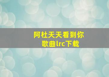 阿杜天天看到你歌曲lrc下载