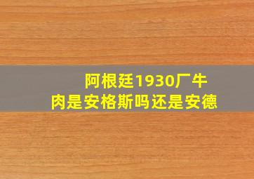 阿根廷1930厂牛肉是安格斯吗还是安德