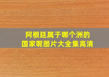 阿根廷属于哪个洲的国家呢图片大全集高清