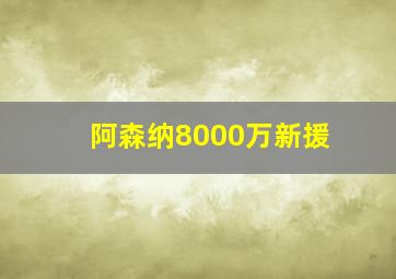 阿森纳8000万新援