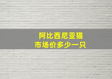 阿比西尼亚猫市场价多少一只