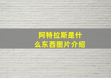 阿特拉斯是什么东西图片介绍