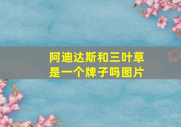 阿迪达斯和三叶草是一个牌子吗图片