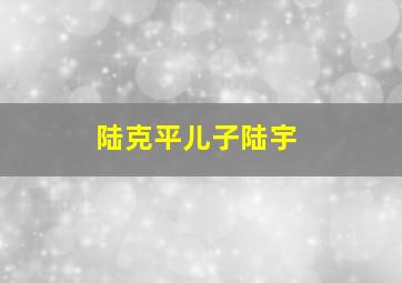 陆克平儿子陆宇