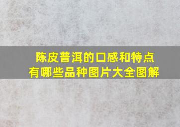 陈皮普洱的口感和特点有哪些品种图片大全图解