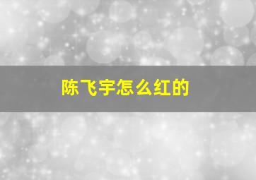 陈飞宇怎么红的