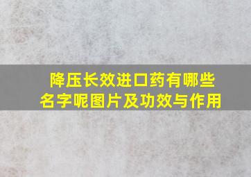 降压长效进口药有哪些名字呢图片及功效与作用