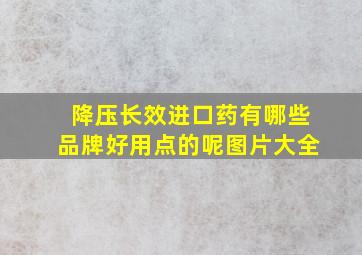 降压长效进口药有哪些品牌好用点的呢图片大全