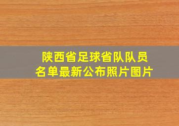 陕西省足球省队队员名单最新公布照片图片