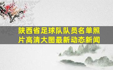 陕西省足球队队员名单照片高清大图最新动态新闻