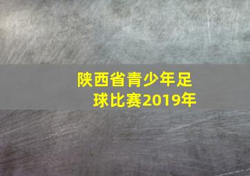 陕西省青少年足球比赛2019年