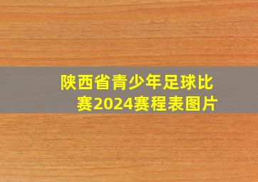 陕西省青少年足球比赛2024赛程表图片