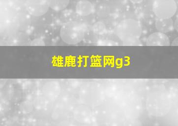 雄鹿打篮网g3