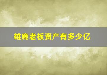 雄鹿老板资产有多少亿