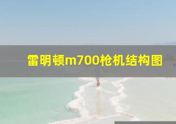 雷明顿m700枪机结构图