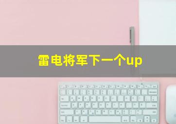 雷电将军下一个up