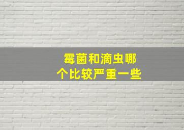 霉菌和滴虫哪个比较严重一些