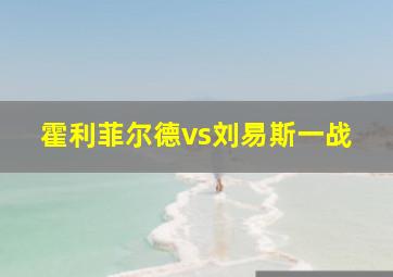 霍利菲尔德vs刘易斯一战