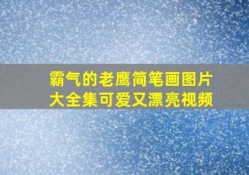 霸气的老鹰简笔画图片大全集可爱又漂亮视频