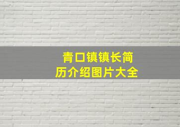 青口镇镇长简历介绍图片大全