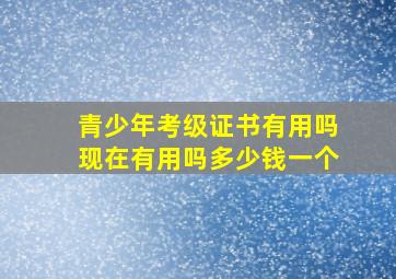 青少年考级证书有用吗现在有用吗多少钱一个