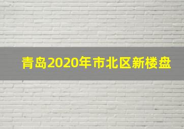 青岛2020年市北区新楼盘