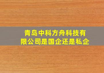 青岛中科方舟科技有限公司是国企还是私企