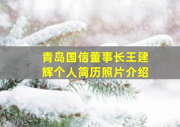 青岛国信董事长王建辉个人简历照片介绍